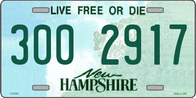 NH license plate 3002917