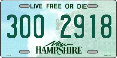 NH license plate 3002918