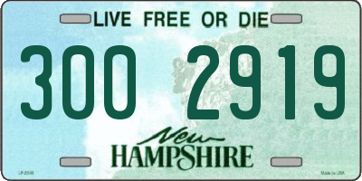NH license plate 3002919