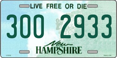 NH license plate 3002933