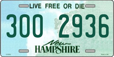 NH license plate 3002936