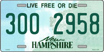 NH license plate 3002958