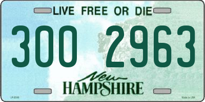 NH license plate 3002963
