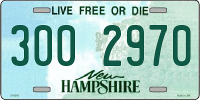 NH license plate 3002970