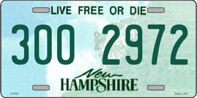 NH license plate 3002972