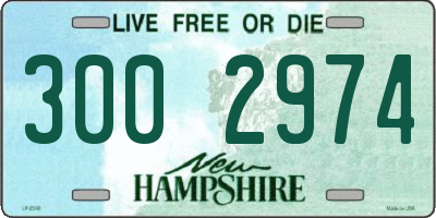 NH license plate 3002974
