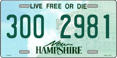 NH license plate 3002981