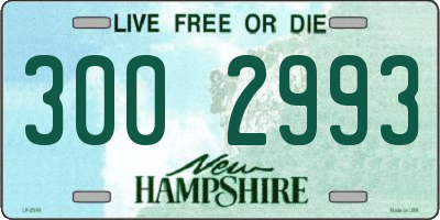 NH license plate 3002993