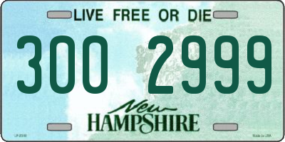 NH license plate 3002999