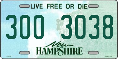 NH license plate 3003038