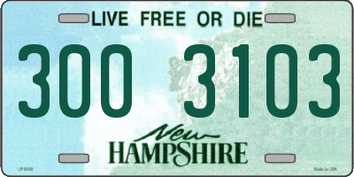 NH license plate 3003103