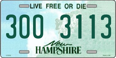 NH license plate 3003113