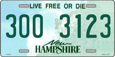 NH license plate 3003123