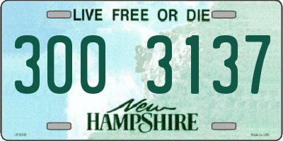 NH license plate 3003137