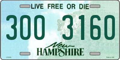 NH license plate 3003160