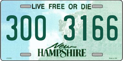 NH license plate 3003166