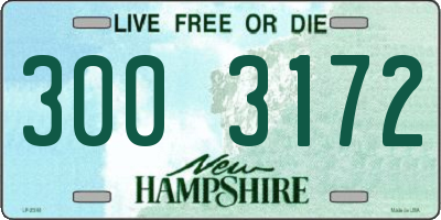 NH license plate 3003172
