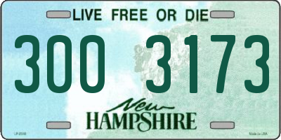 NH license plate 3003173