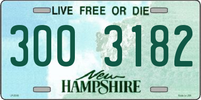 NH license plate 3003182
