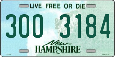 NH license plate 3003184