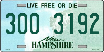 NH license plate 3003192
