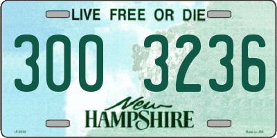 NH license plate 3003236