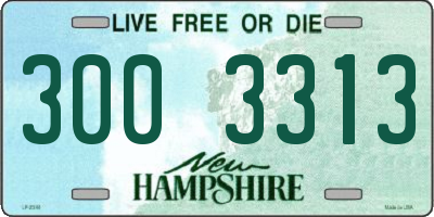 NH license plate 3003313