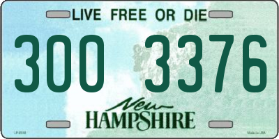 NH license plate 3003376
