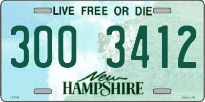 NH license plate 3003412