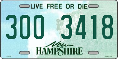 NH license plate 3003418