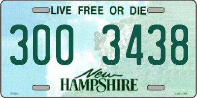 NH license plate 3003438