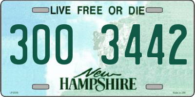 NH license plate 3003442