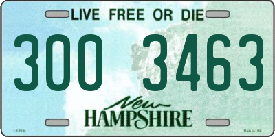 NH license plate 3003463