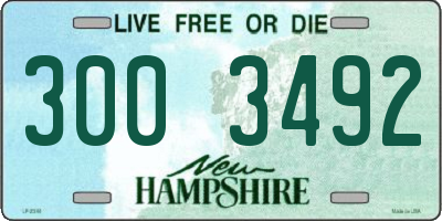 NH license plate 3003492