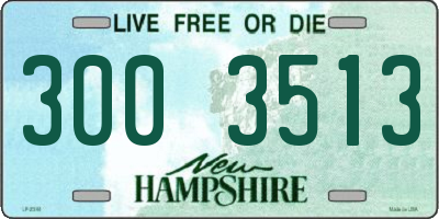 NH license plate 3003513