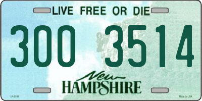 NH license plate 3003514