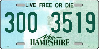 NH license plate 3003519