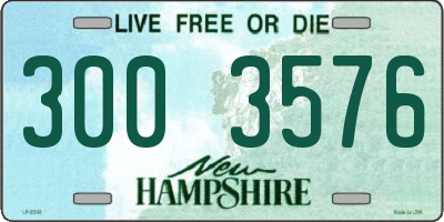 NH license plate 3003576