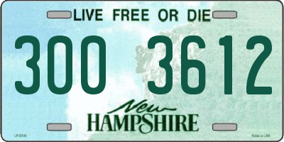 NH license plate 3003612
