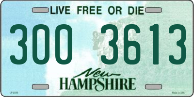 NH license plate 3003613