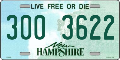NH license plate 3003622