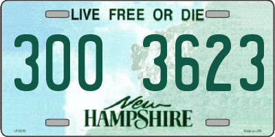 NH license plate 3003623