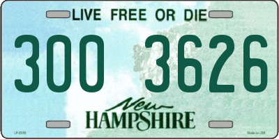 NH license plate 3003626