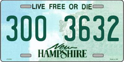 NH license plate 3003632