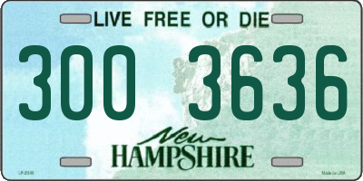 NH license plate 3003636