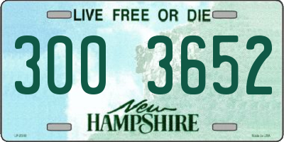 NH license plate 3003652