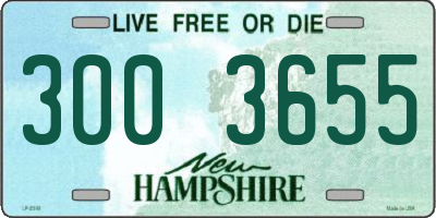 NH license plate 3003655
