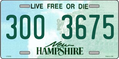 NH license plate 3003675