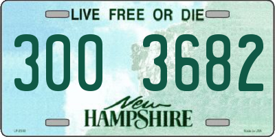 NH license plate 3003682