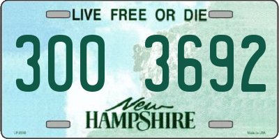 NH license plate 3003692